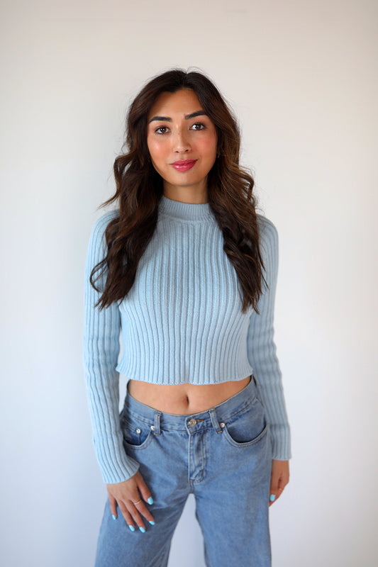 Blue Knit Sleeve Sweater